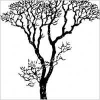 Bare Tree clip art