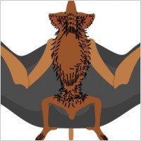 Bat 1