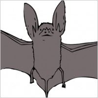 Bat clip art