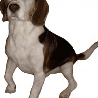 Beagle Small Version