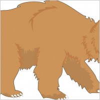 Bear 1