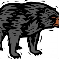 Bear 2