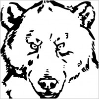 bear head vector