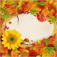 Photo Backgrounds on Beautiful Autumn Photo Background 01 Vector