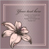 beautiful border pattern background 02 vector