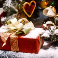 beautiful christmas design elements 28 hd picture