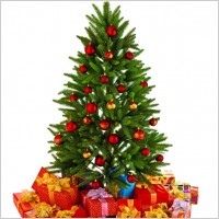 beautiful christmas tree 01 hd pictures
