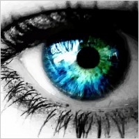 Beautiful colored eye free vector