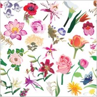 beautiful flower pattern style 02 vector