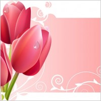 beautiful flowers and lace 01 vector