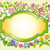 beautiful flowers and lace 02 vector