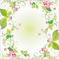 beautiful flowers and lace 03 vector