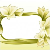 beautiful flowers and lace 04 vector