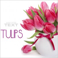 beautiful flowers background 05 hd picture