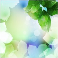 Beautiful Green Leaf Background Vector Illustration