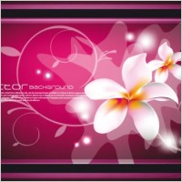 beautiful pattern vector