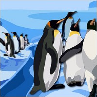 Beautiful penguins