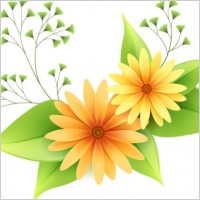 beautiful small flowers vector 1