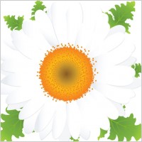 beautiful small flowers vector 2