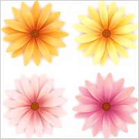 beautiful small flowers vector 3
