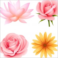 beautiful small flowers vector 4