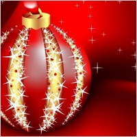 Beautiful vector christmas card