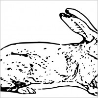belgian rabbit