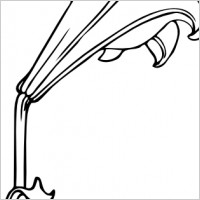 Bermuda Lily clip art