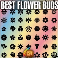 Best Flower Buds