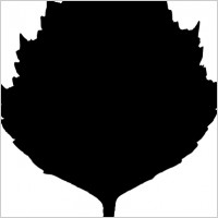 birch leaf silhouette