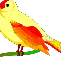 Bird Of Peace clip art