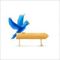 Bird sign sparkles