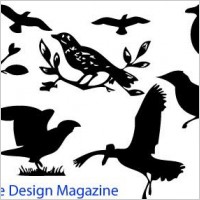 Bird silhouettes