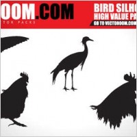 Bird silhouettes