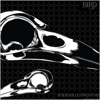 Bird Skull