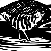 Bird Walking Eating clip art