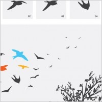 Birds