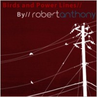 Birds and Power Lines