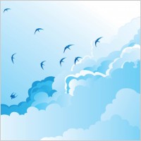 Birds in the Sky