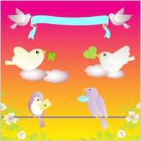 Birds Love