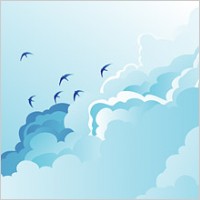 Birds on the cloudy sky 