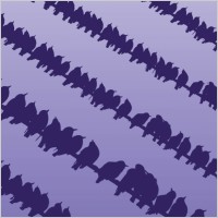 Birds on Wire
