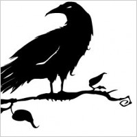 Birds silhouettes