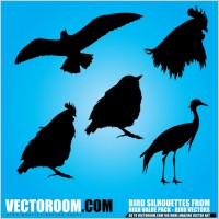 Birds Silhouettes