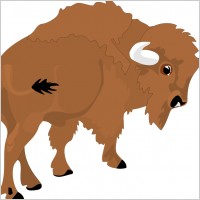 Bison 2