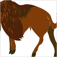 Bison 3