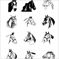 Vector Graphics  on Free Vector Horse Free Vector For Free Download  About 332 Files