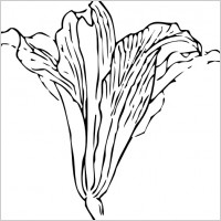 Blossom clip art