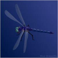 Blue Dragonfly clip art