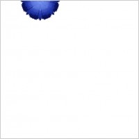 blue flower